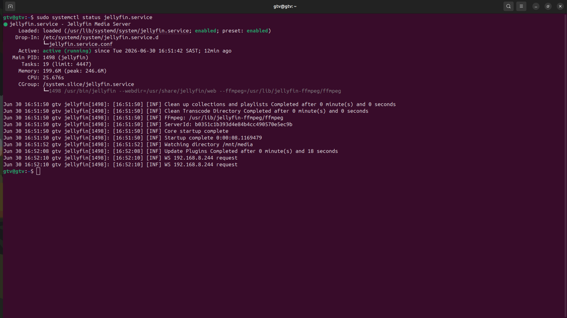 TERMINAL_JELLYFIN.PNG