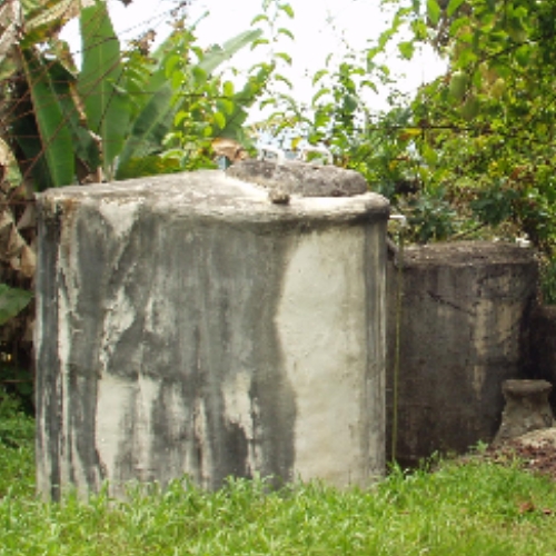 TERMITE NEST CITY (8).JPG