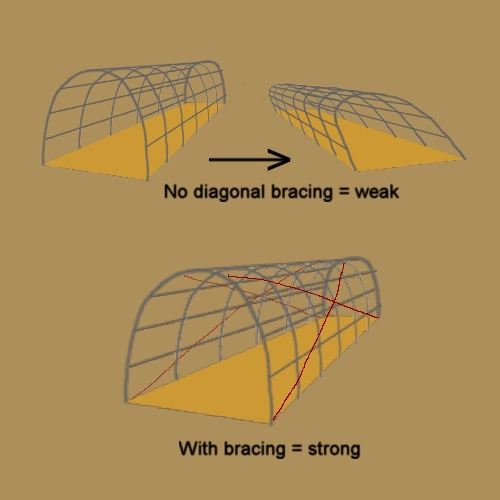 TRELLIS - 19.JPG