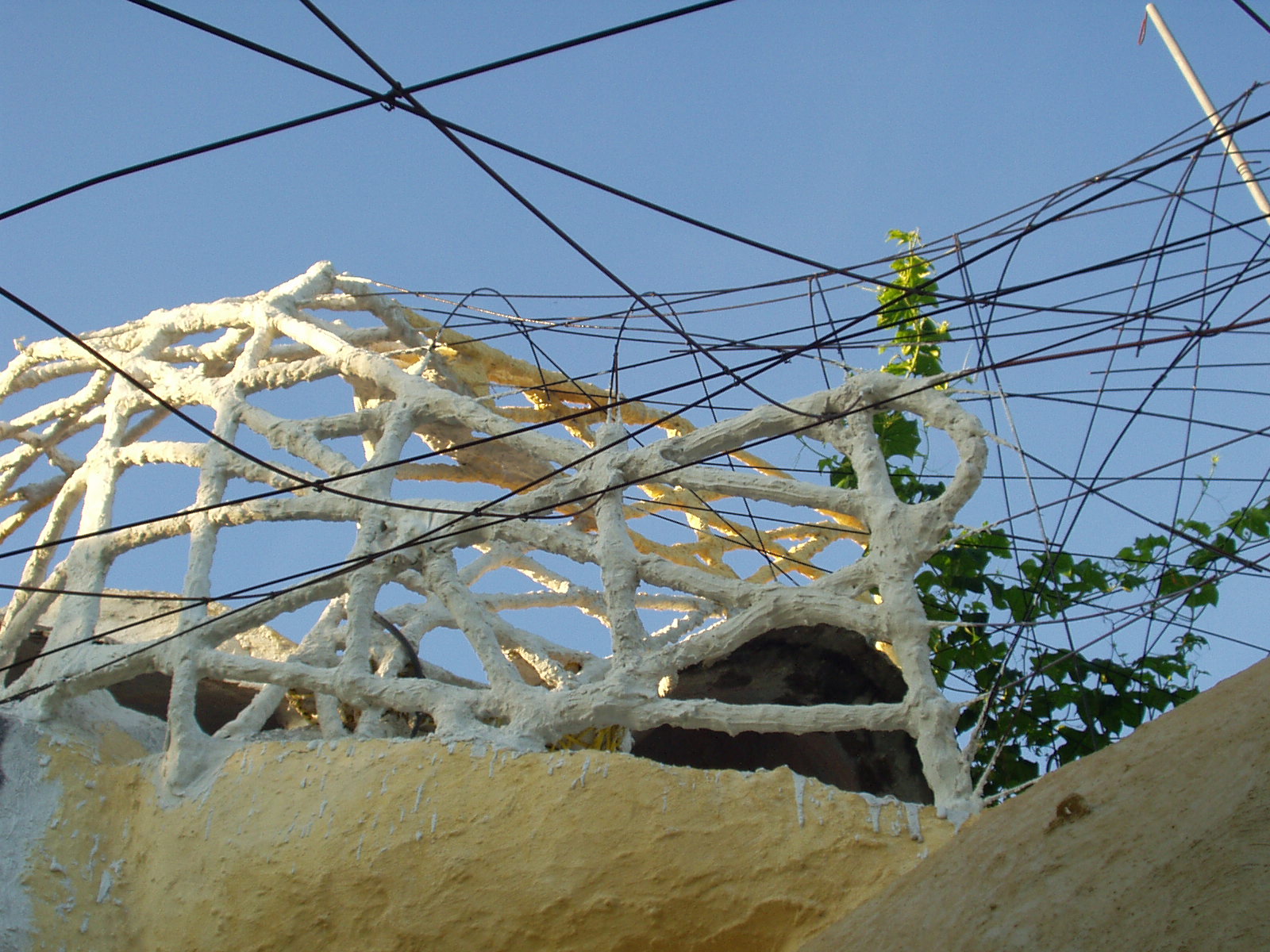 TRELLIS - 7.JPG