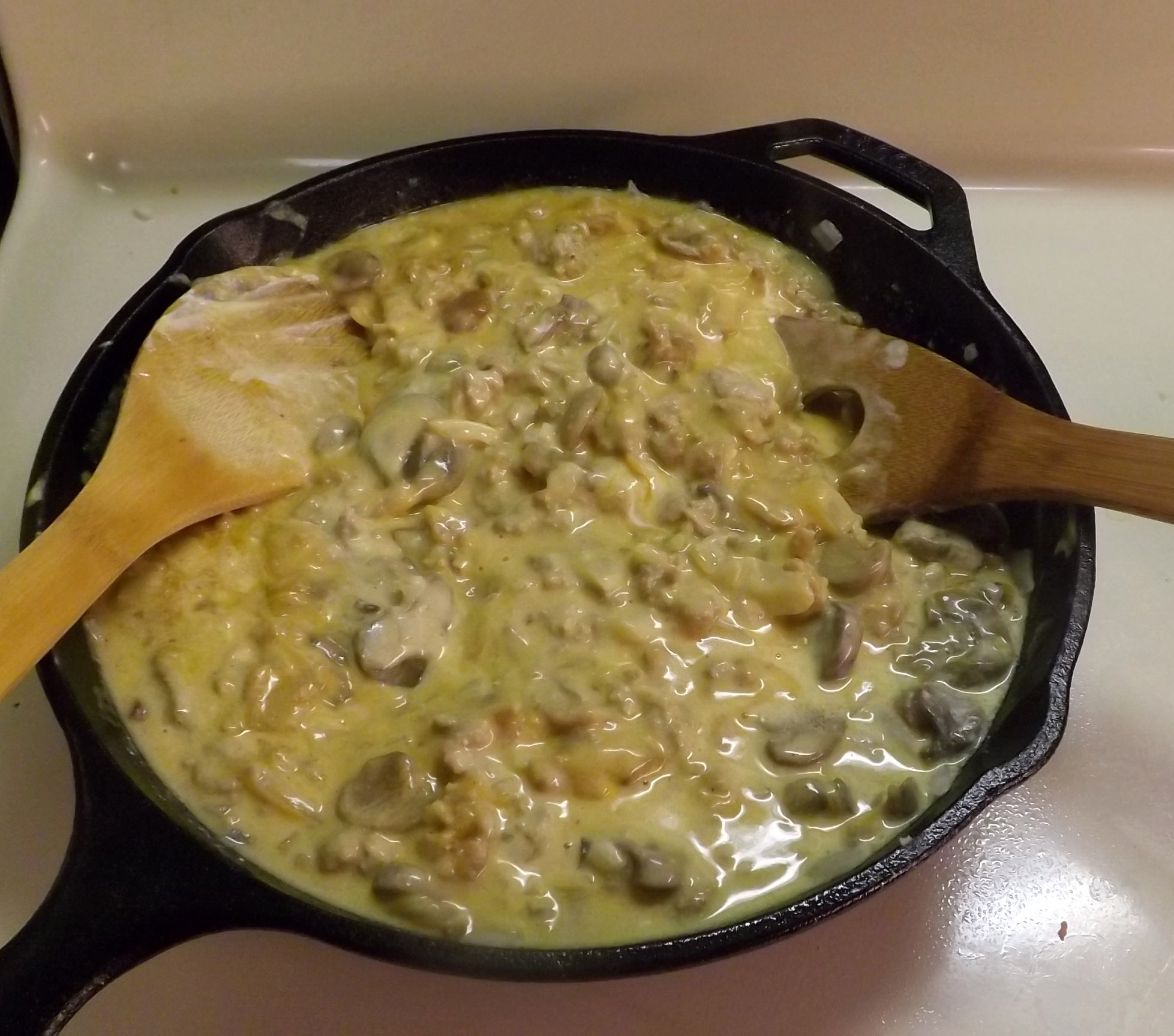 TURKEY STROGANOFF 020.JPG