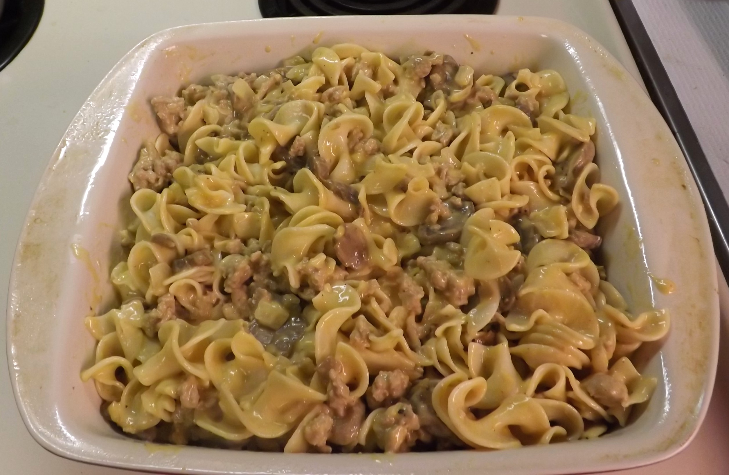 TURKEY STROGANOFF 022.JPG