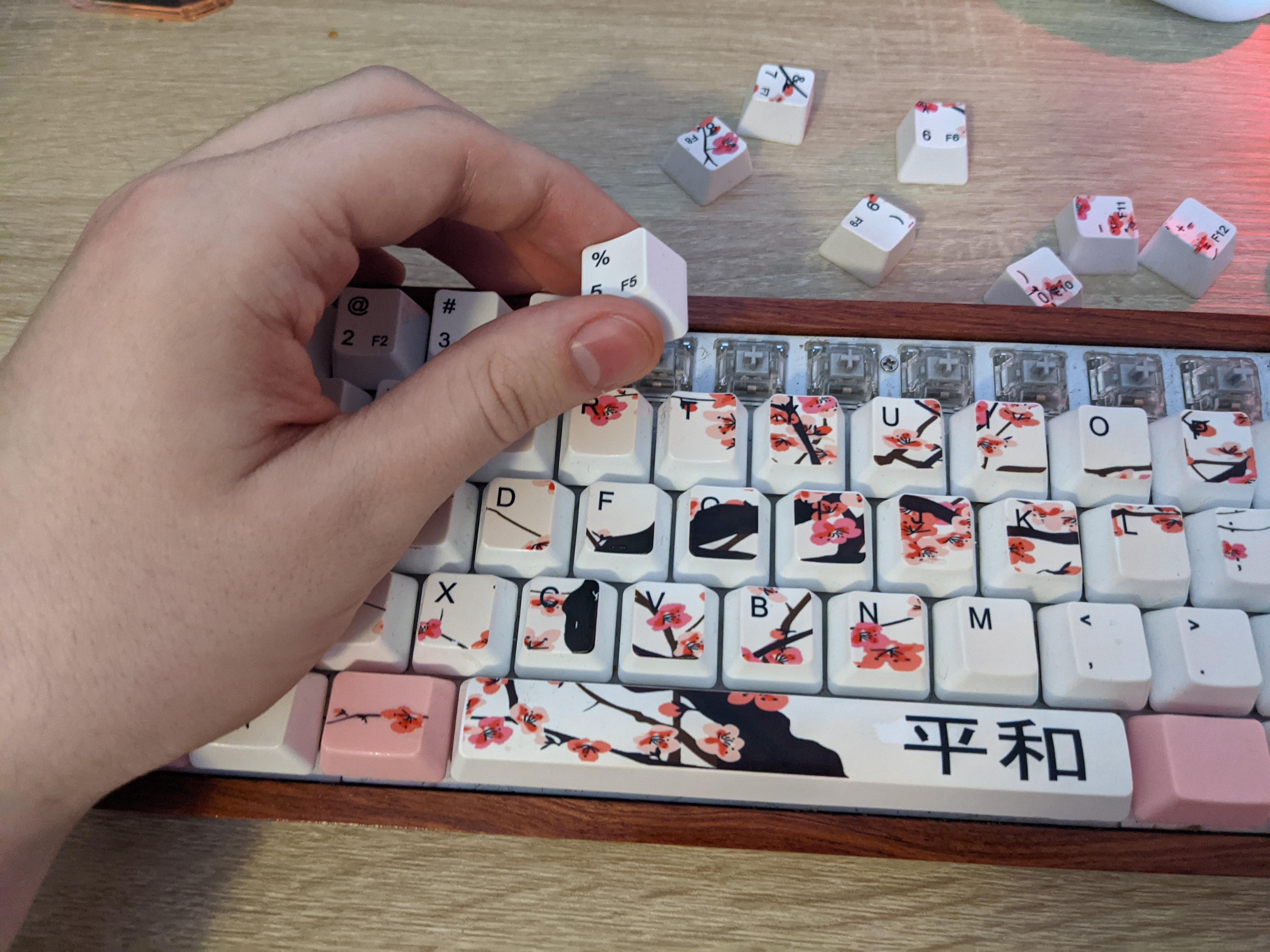 Taking apart keyboard.jpg