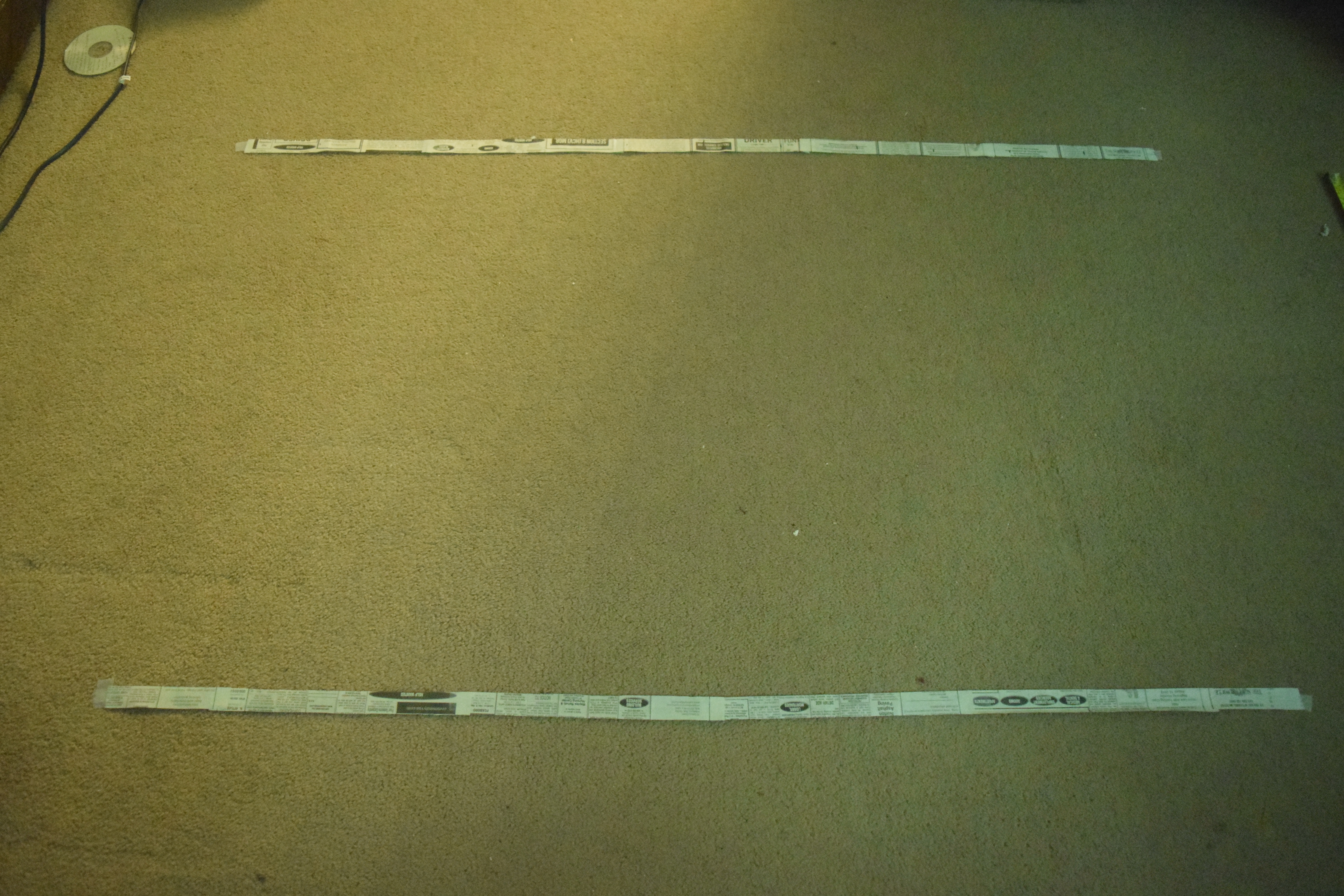 Taping Strips to the Floor.JPG