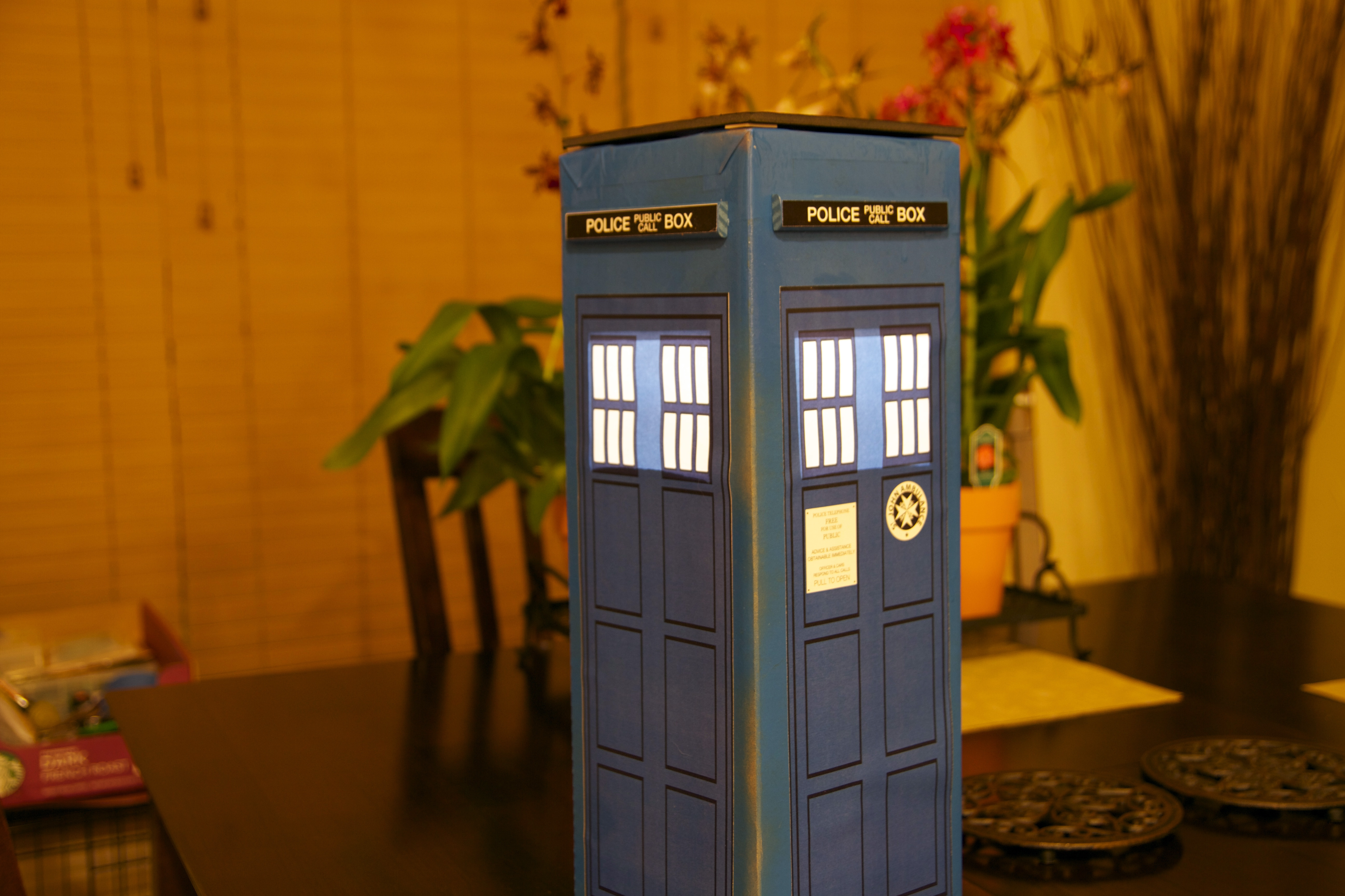 Tardis-51.jpg