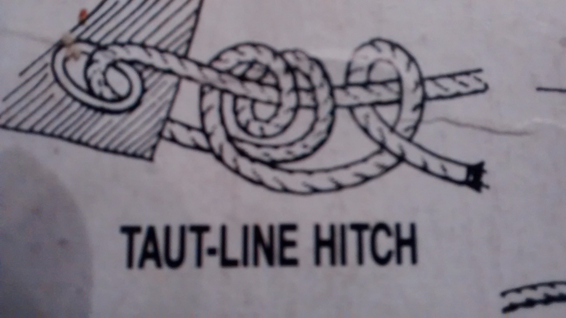 Tautlinehitch.jpg