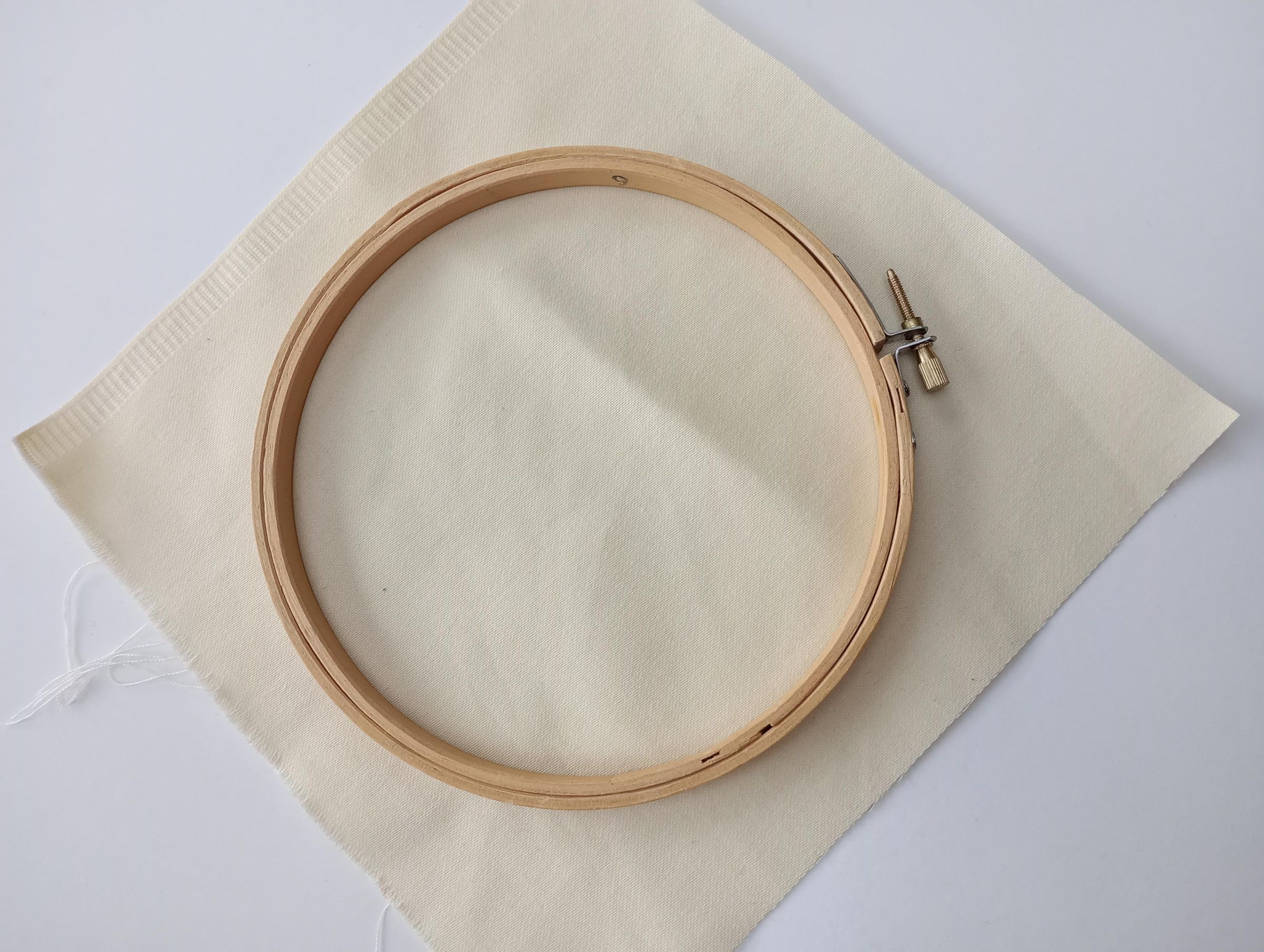 Test fabric and hoop.jpg