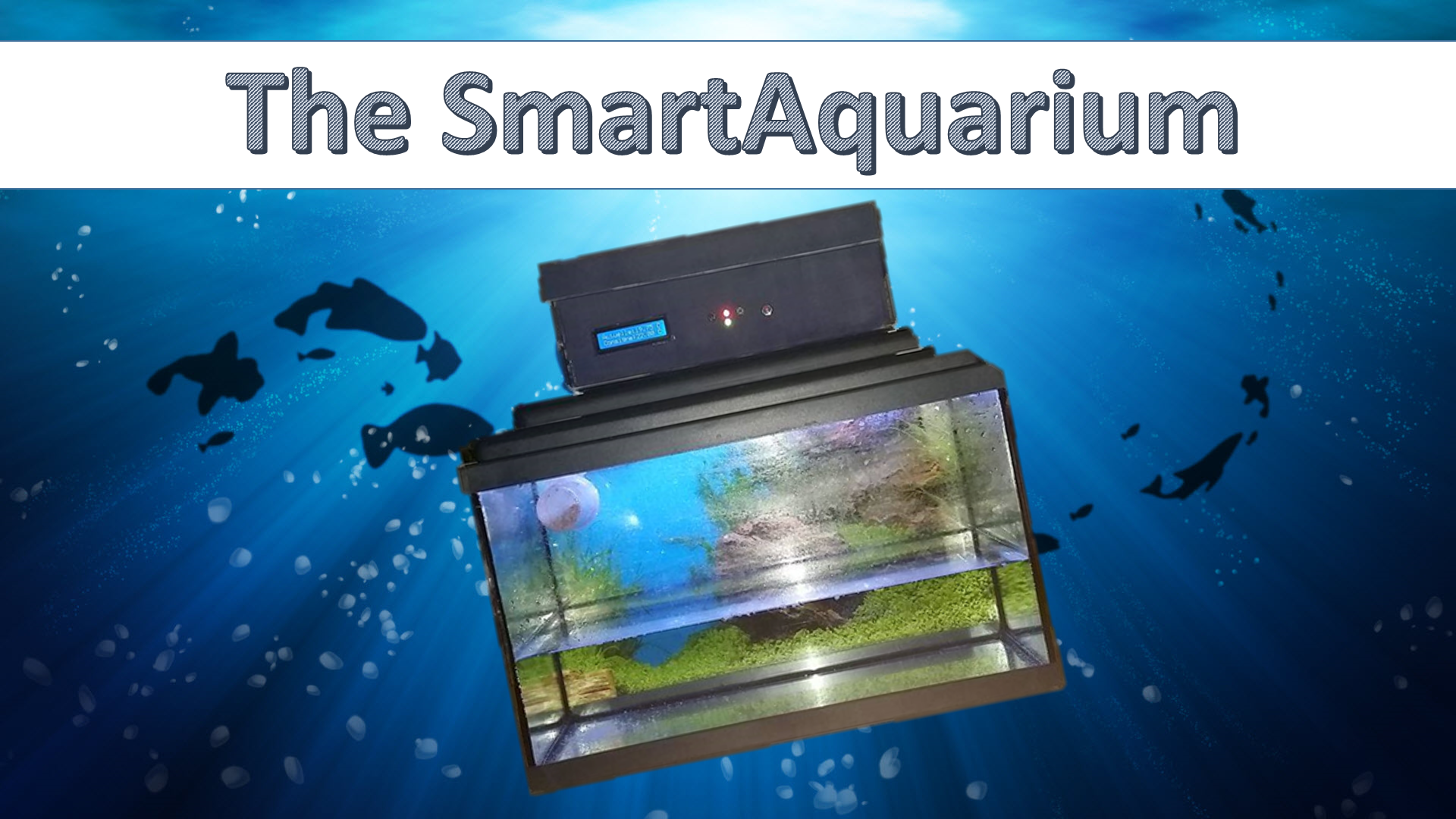 The SmartAquarium_2.png