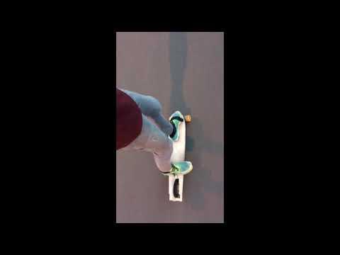 Three-wheel Electric Longboard