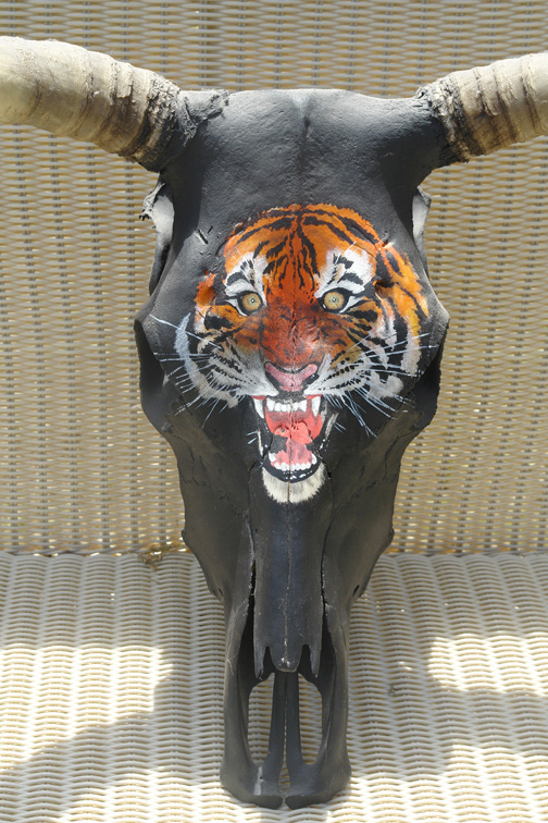 Tiger head 2.jpg