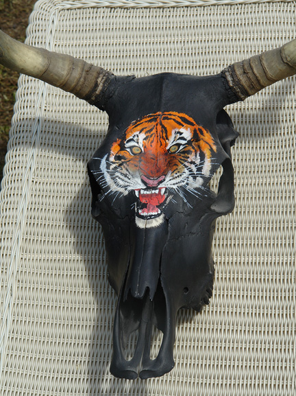 Tiger head 6.jpg