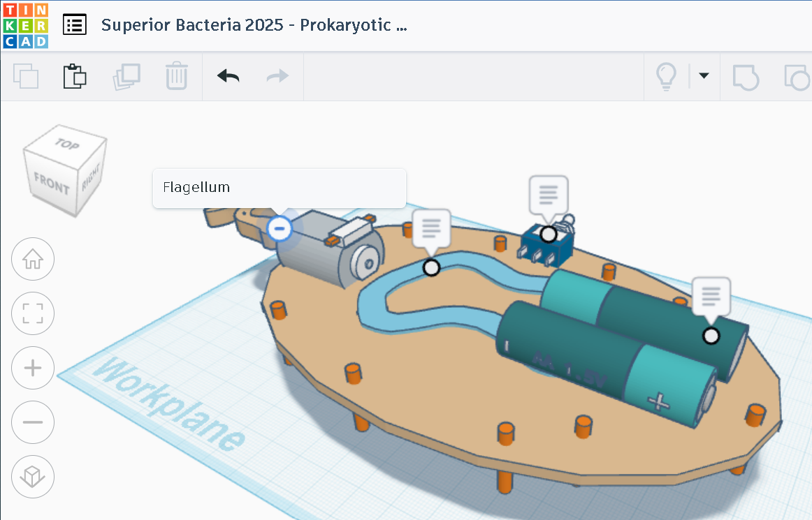 TinkerCAD Design 1.png