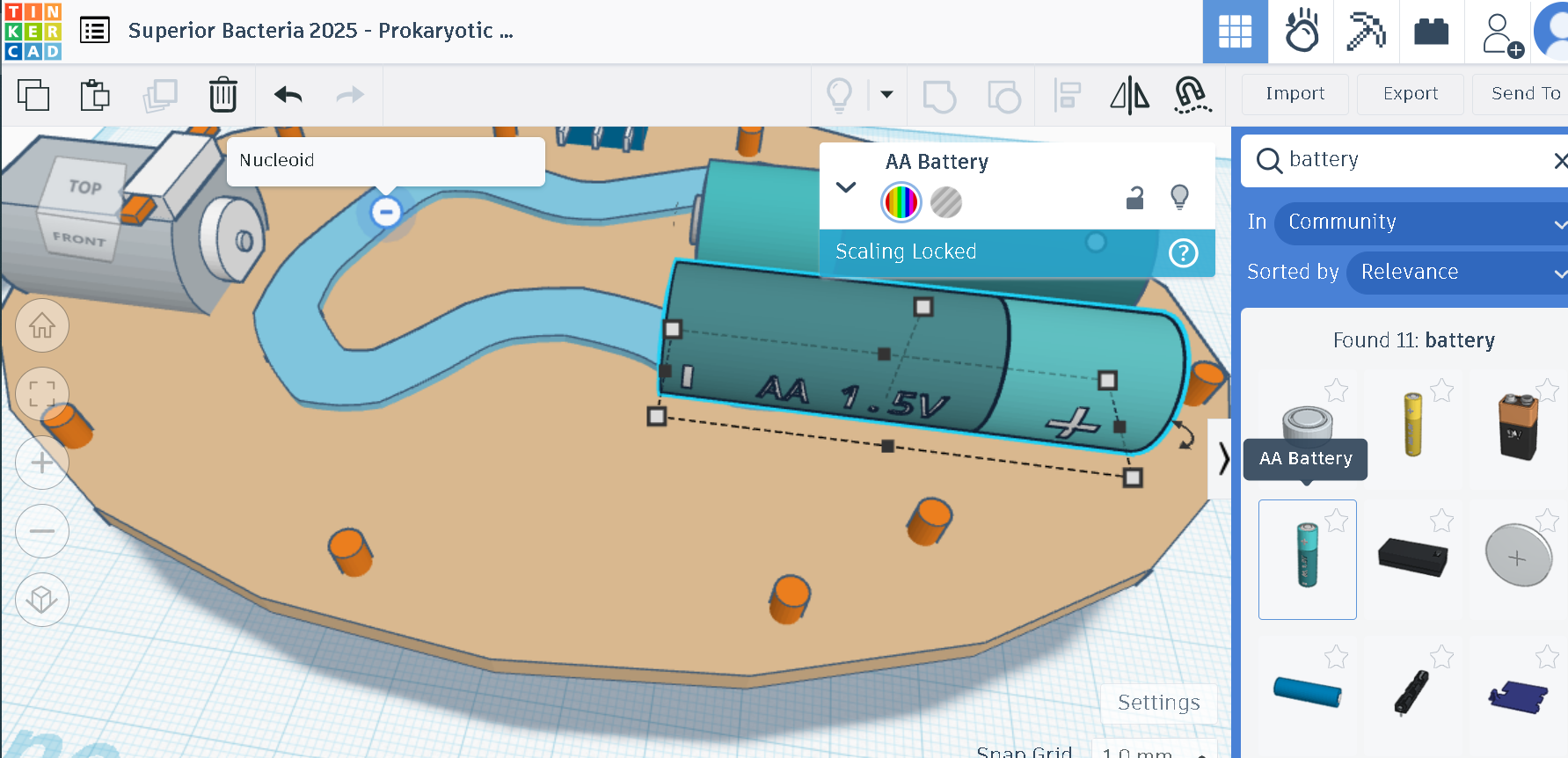 TinkerCAD Design 3.png