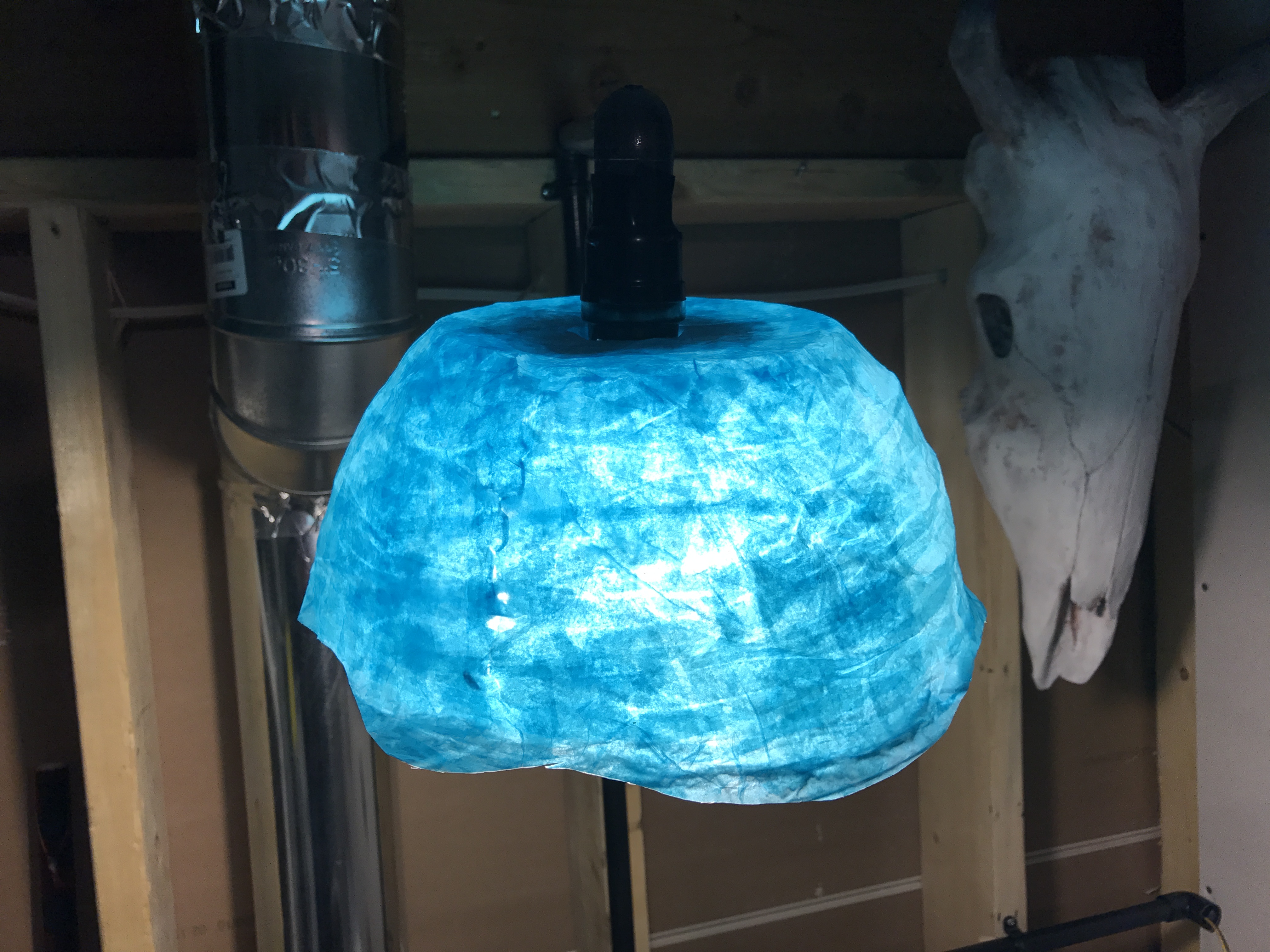 Tissue paper Lamp.JPG