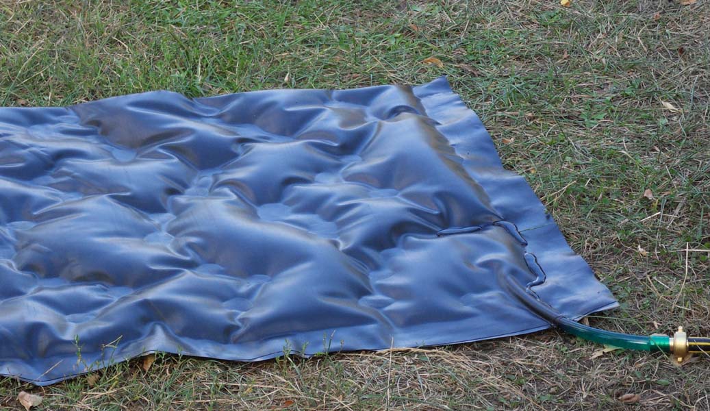 Title SDC12232.JPG