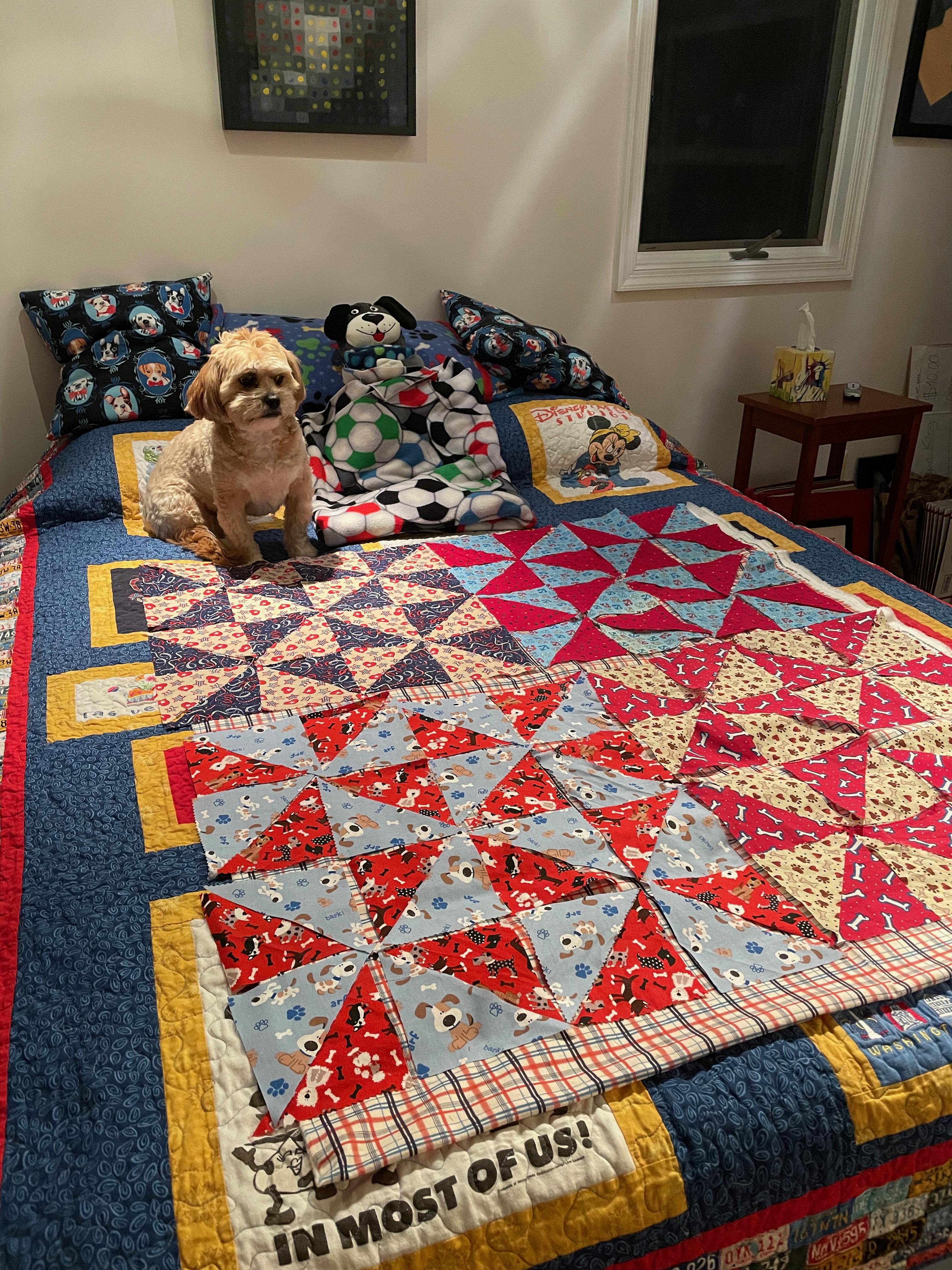 Topper Quilt - 18 of 190.jpeg