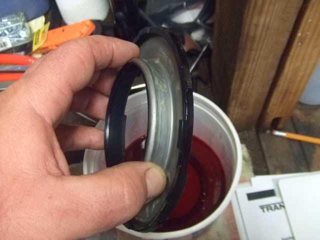 Trans005.jpg