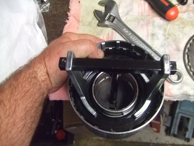 Trans011.jpg