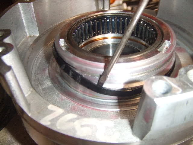 Trans032.jpg