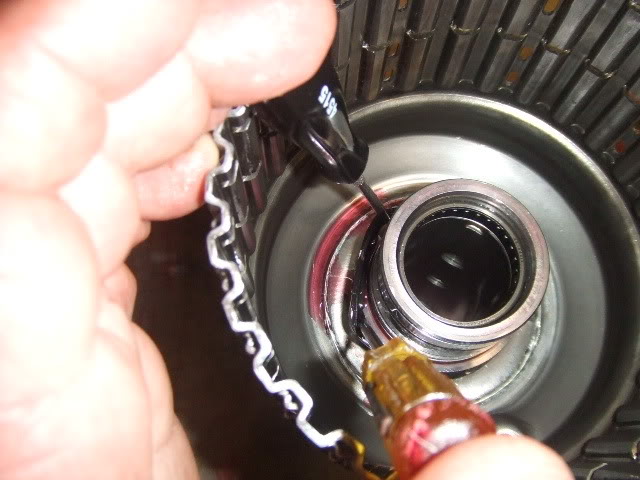 Trans050.jpg