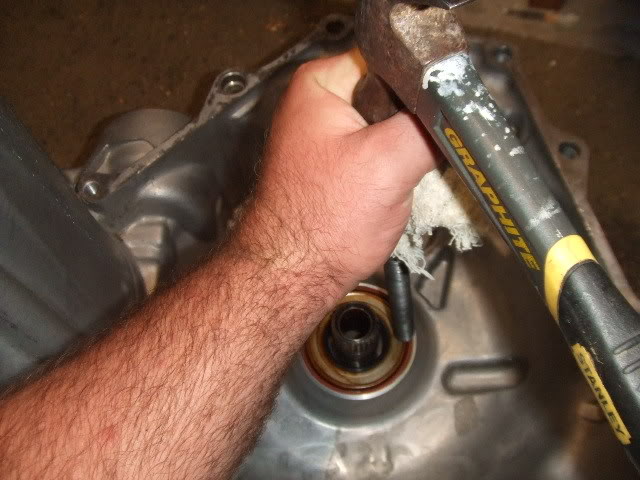 Trans071.jpg