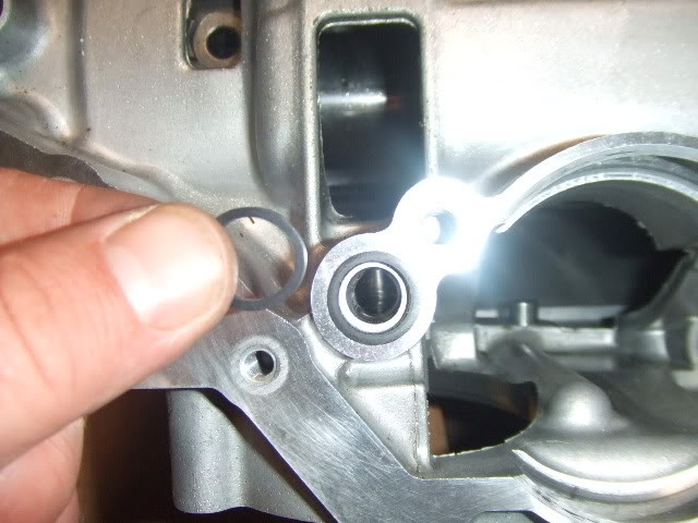Trans075.jpg