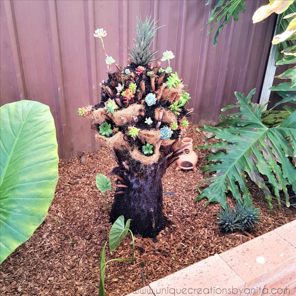 Tree fern planter (1).jpg