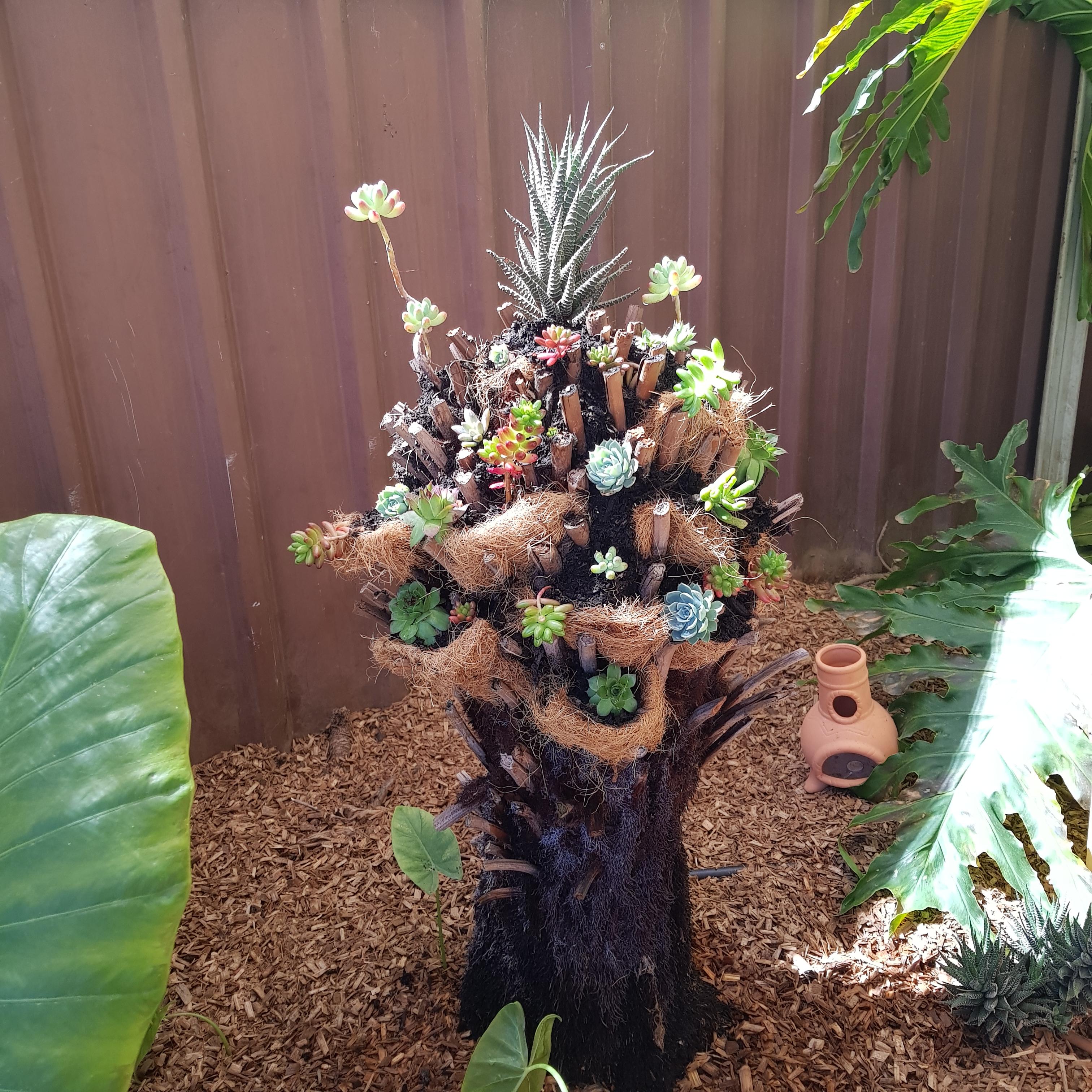 Tree fern planter (6).jpg