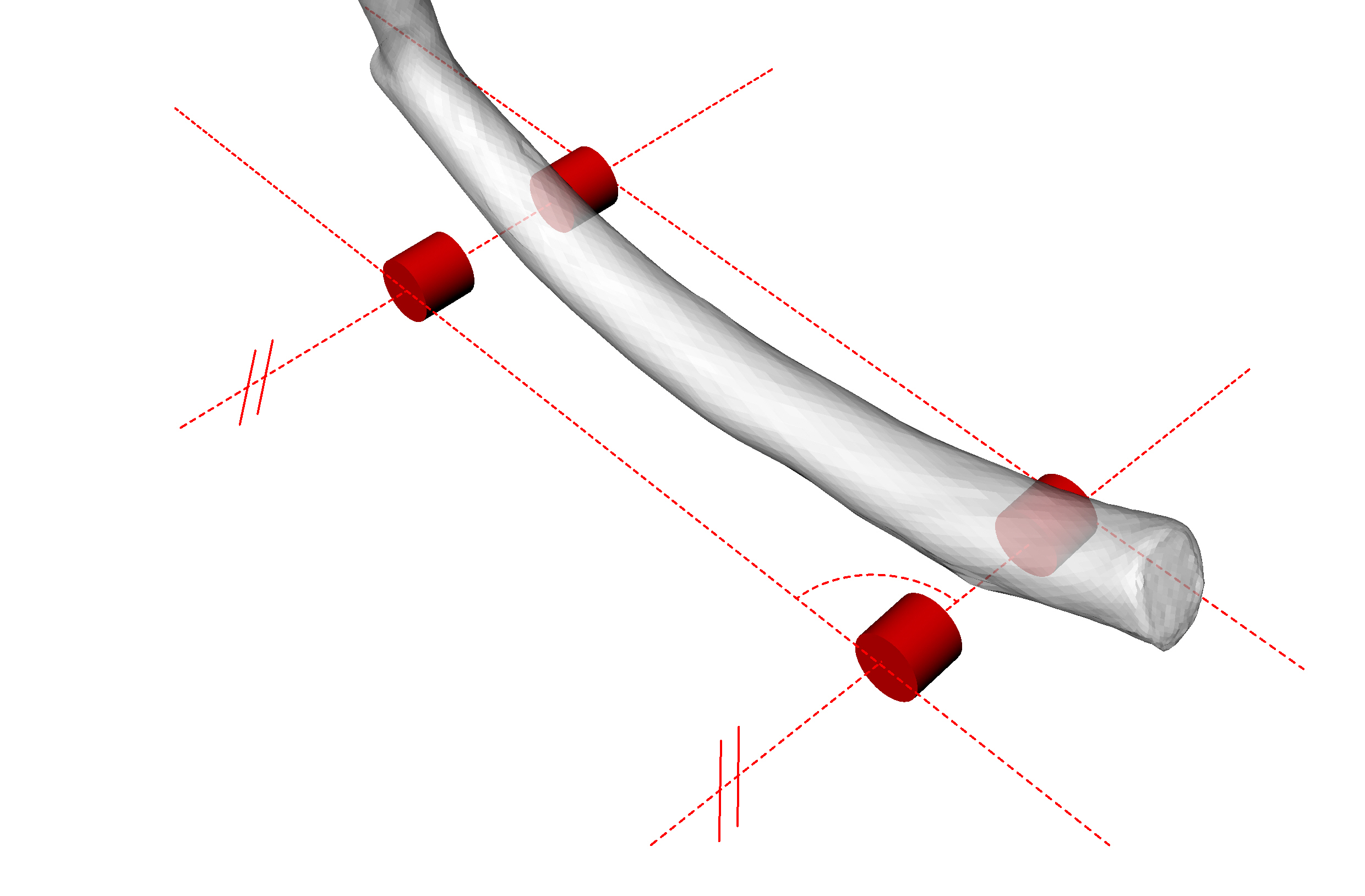 Tree of Motion _ Branchboarding _ NicoRayf - demo2.jpg