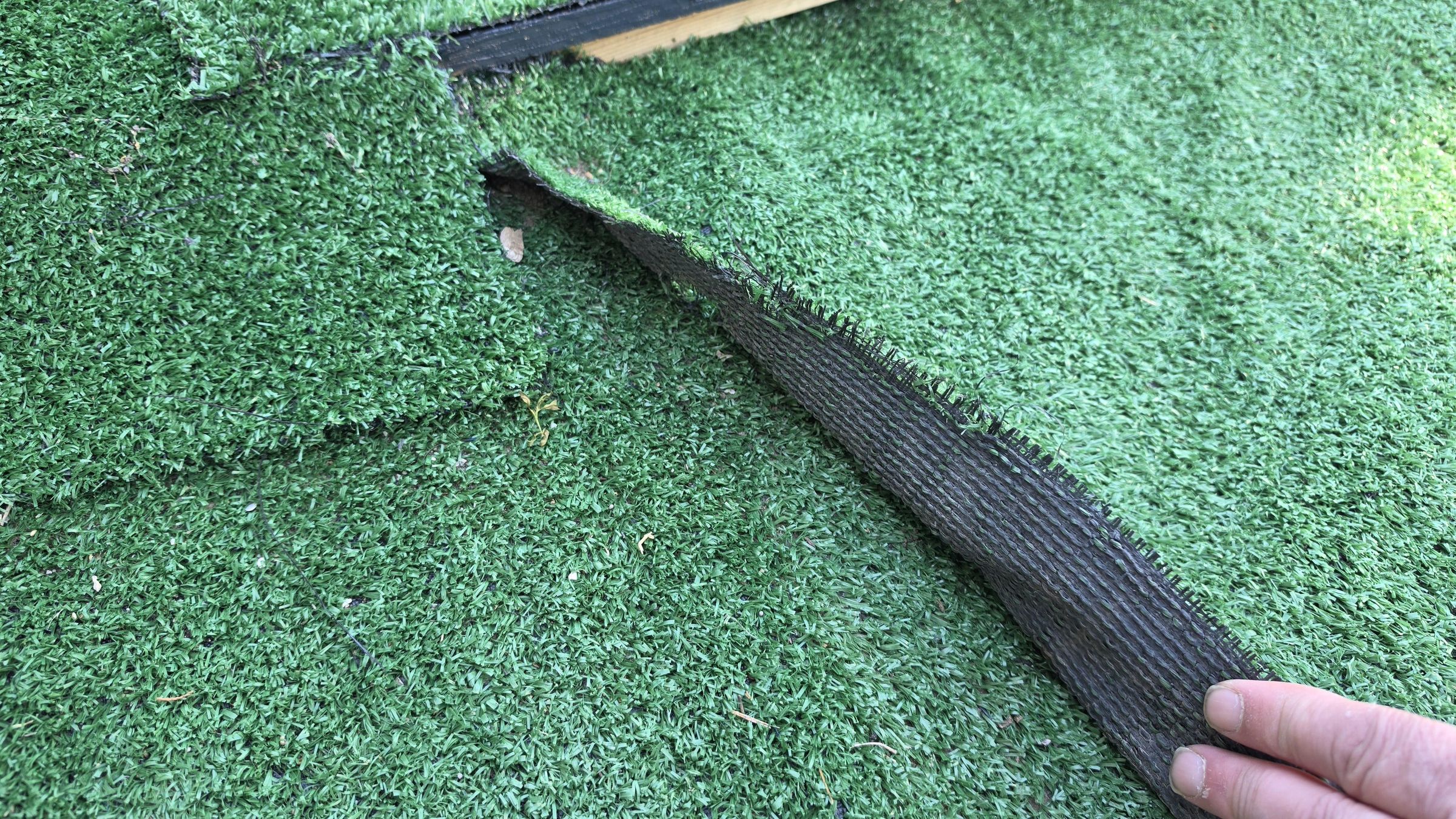 Turf 5.jpg