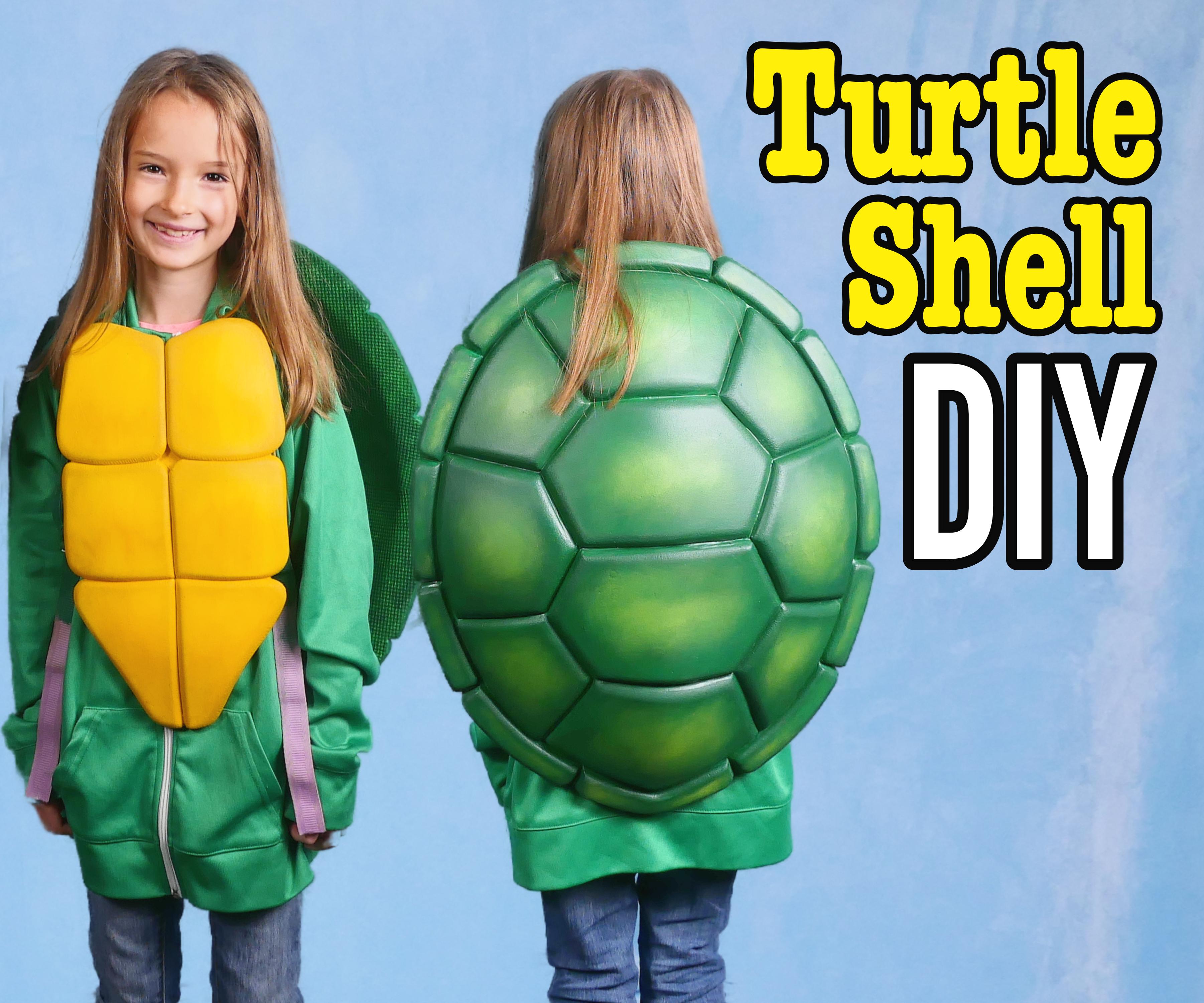 Turtle Shell cover.jpg