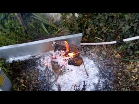 Tutorial come rimuovere radici di un albero fai da te(How to DIY tree stump removal)