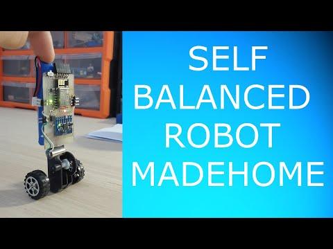 Two wheel balanced robot