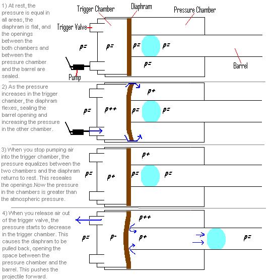 TwoChamberDiaphramGun.JPG