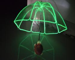 Umbrella.JPG