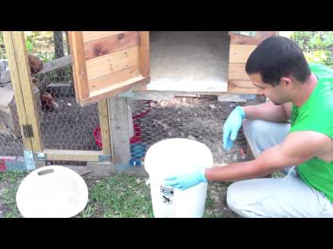 Using saw dust for chicken coops and how to get it cheap!