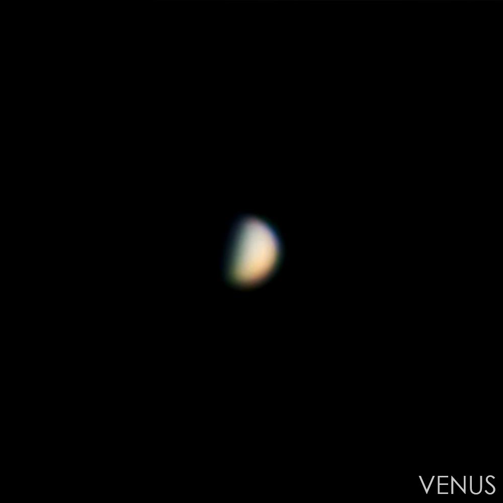 VENUS_L.jpg