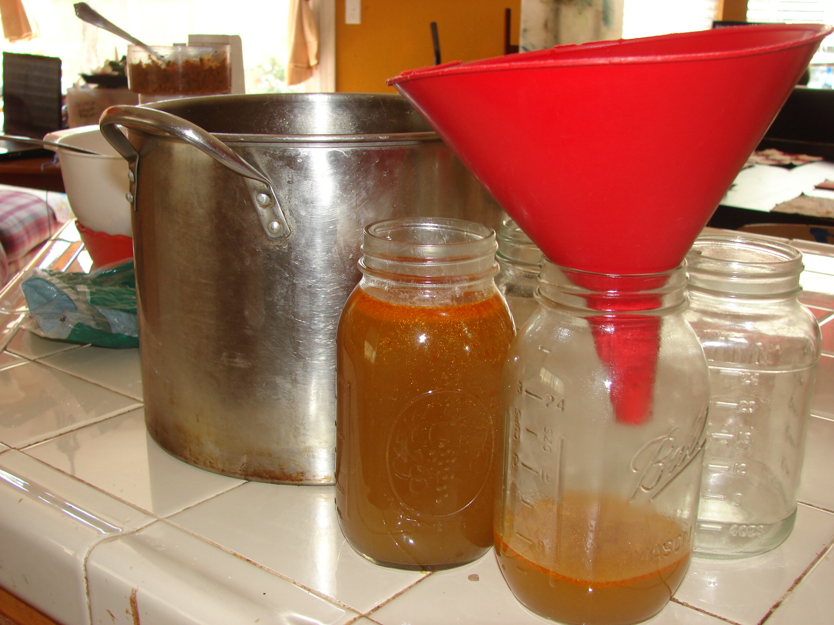 Veggie Stock 060.JPG