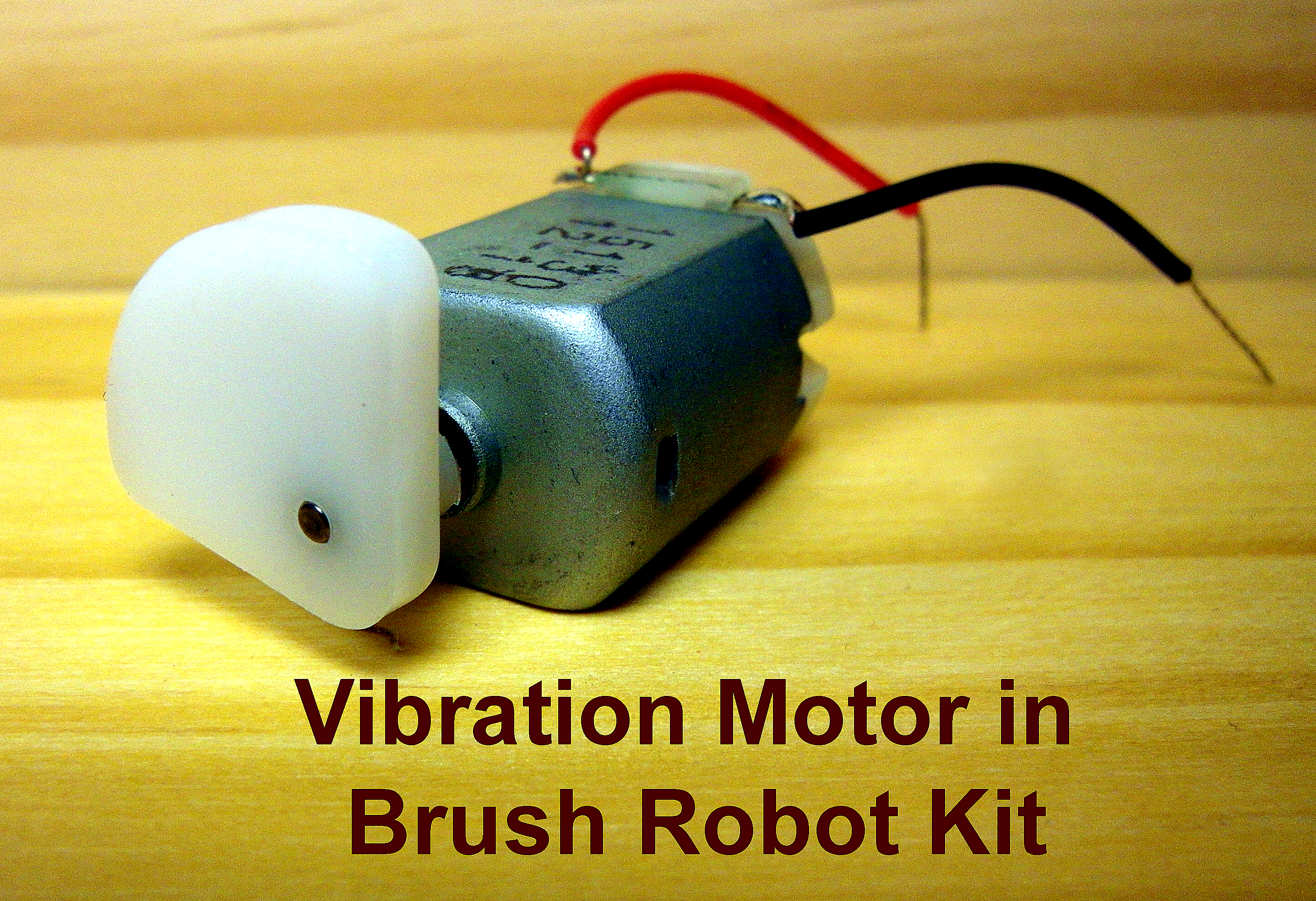 Vibration Motor in Brush Robot Kit.jpg