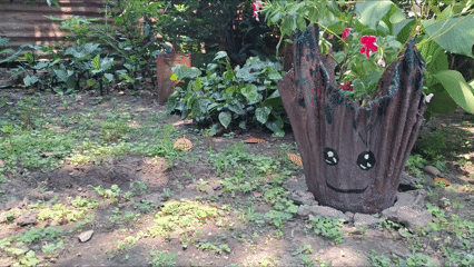 Video Project 1 (4).gif
