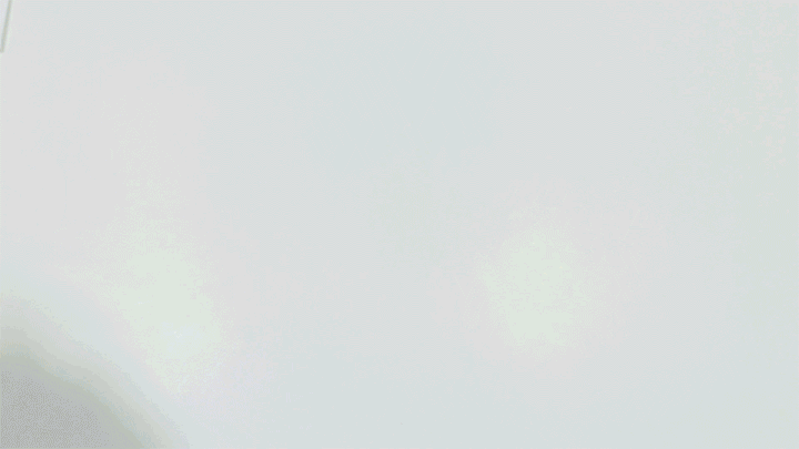 Video-Parte-1.gif