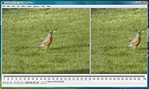 Video-edit-2.jpg
