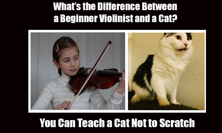 Violinist Jokes.jpg