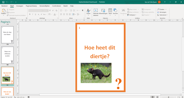 Voorbeeld kaarten in publisher_foto 1.png