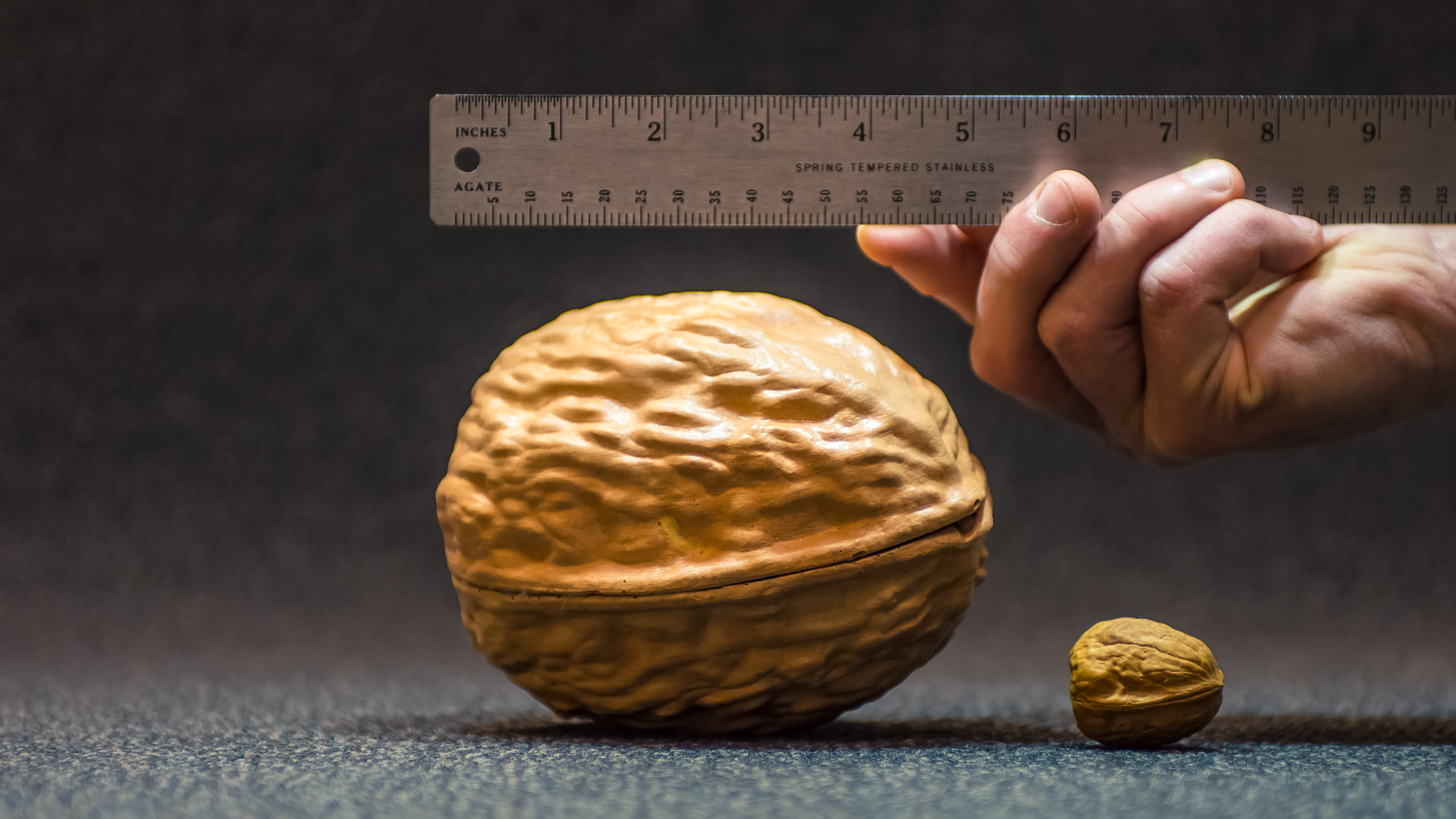 WALNUT-3653.jpg