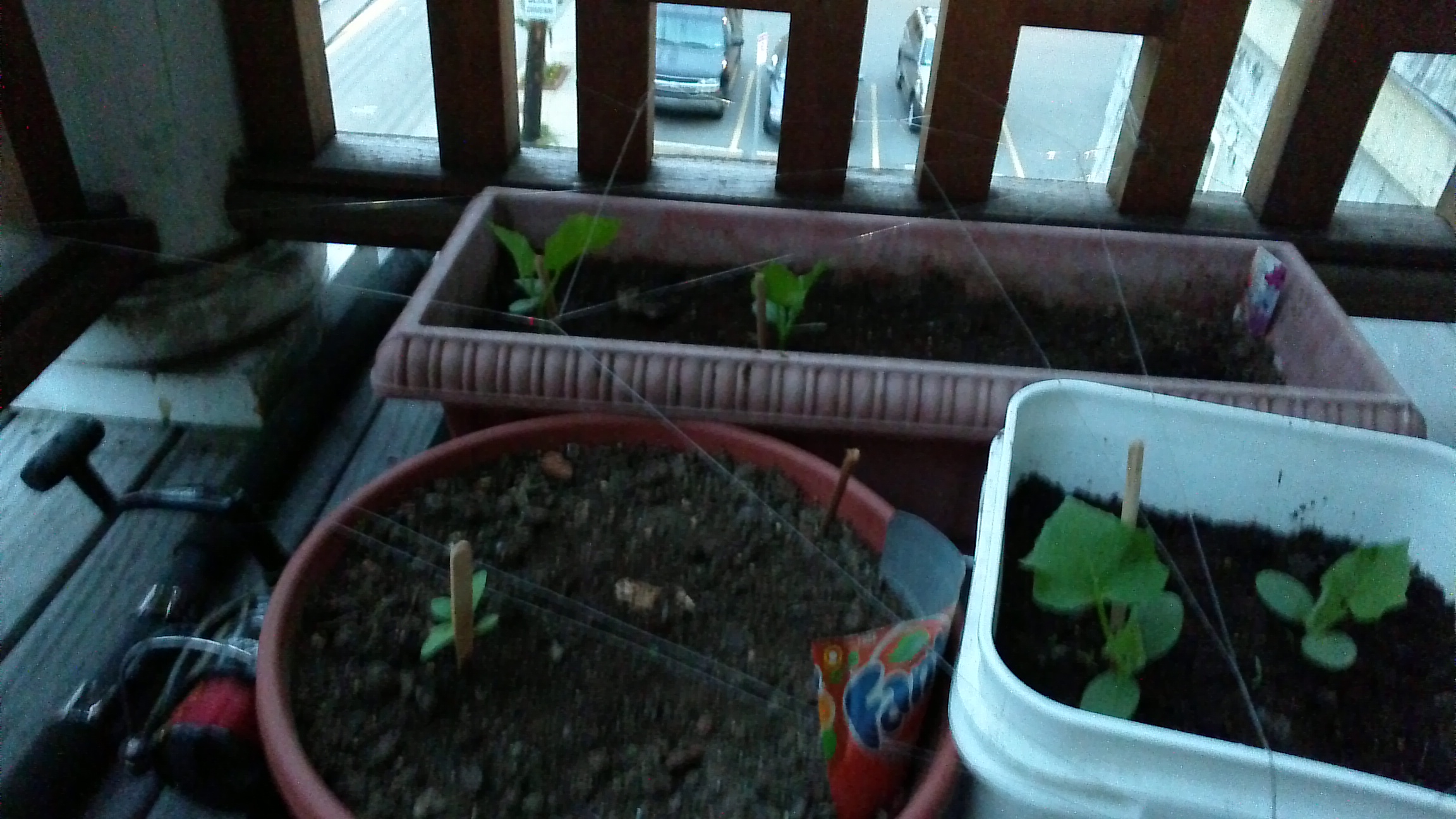 WIN_20140610_202859.JPG