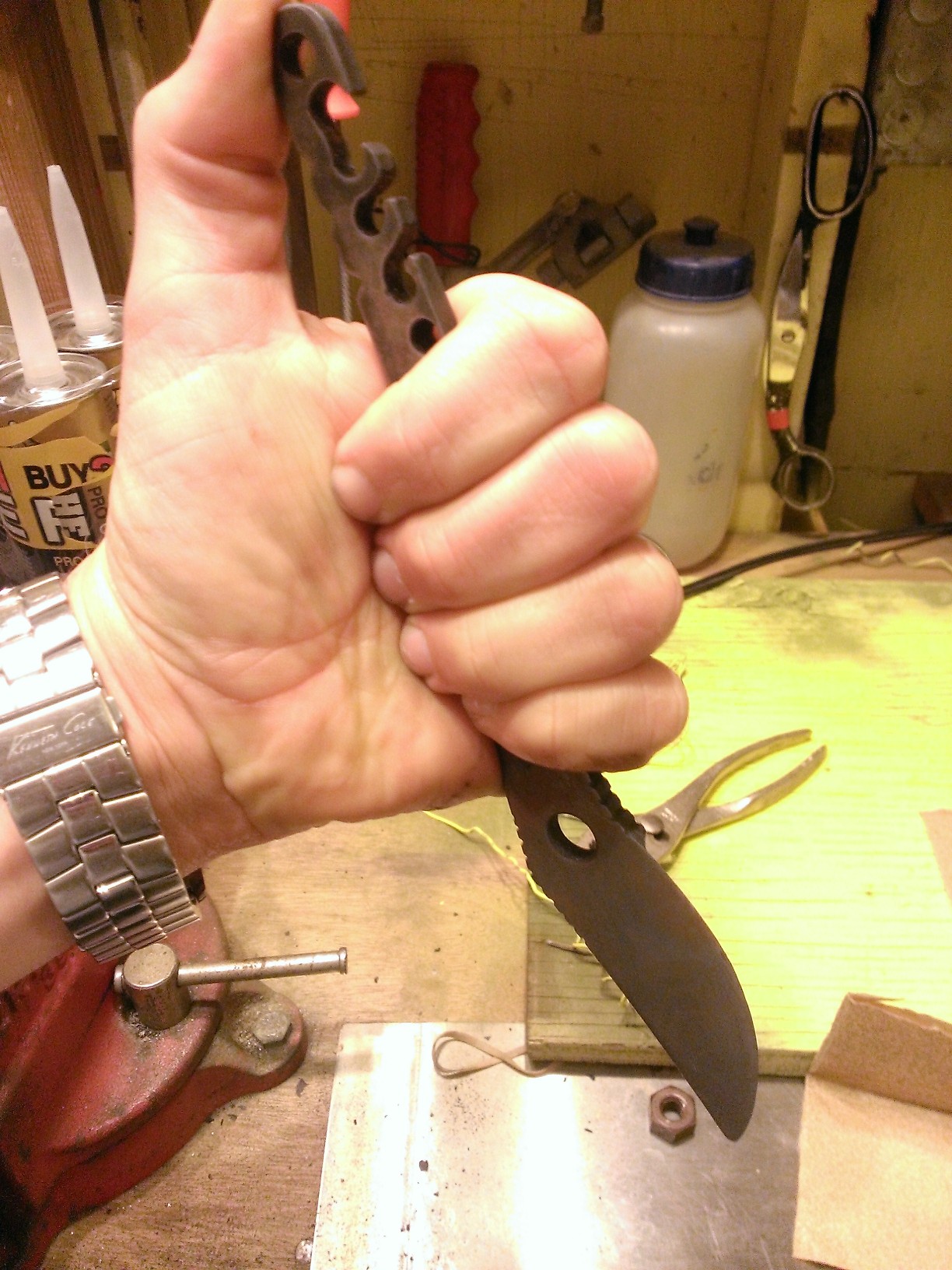 WP_20130327_021.jpg