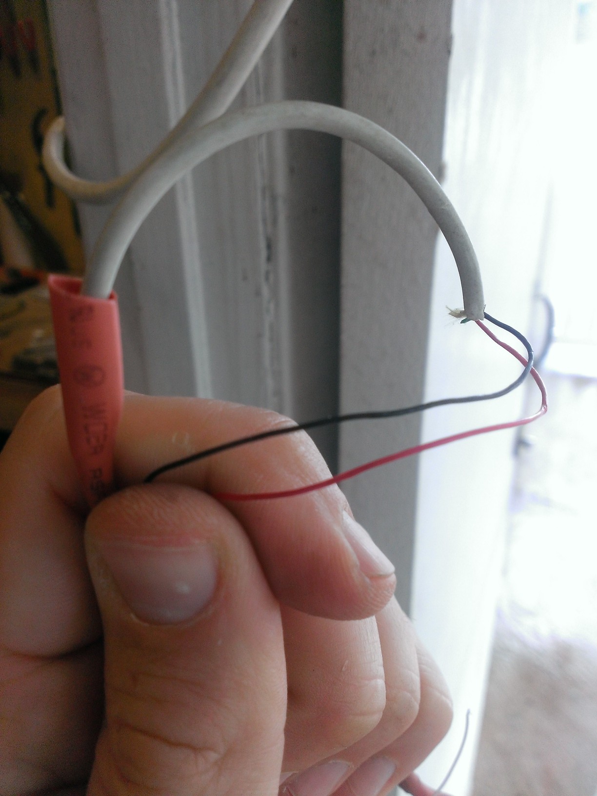 WP_20130428_019.jpg
