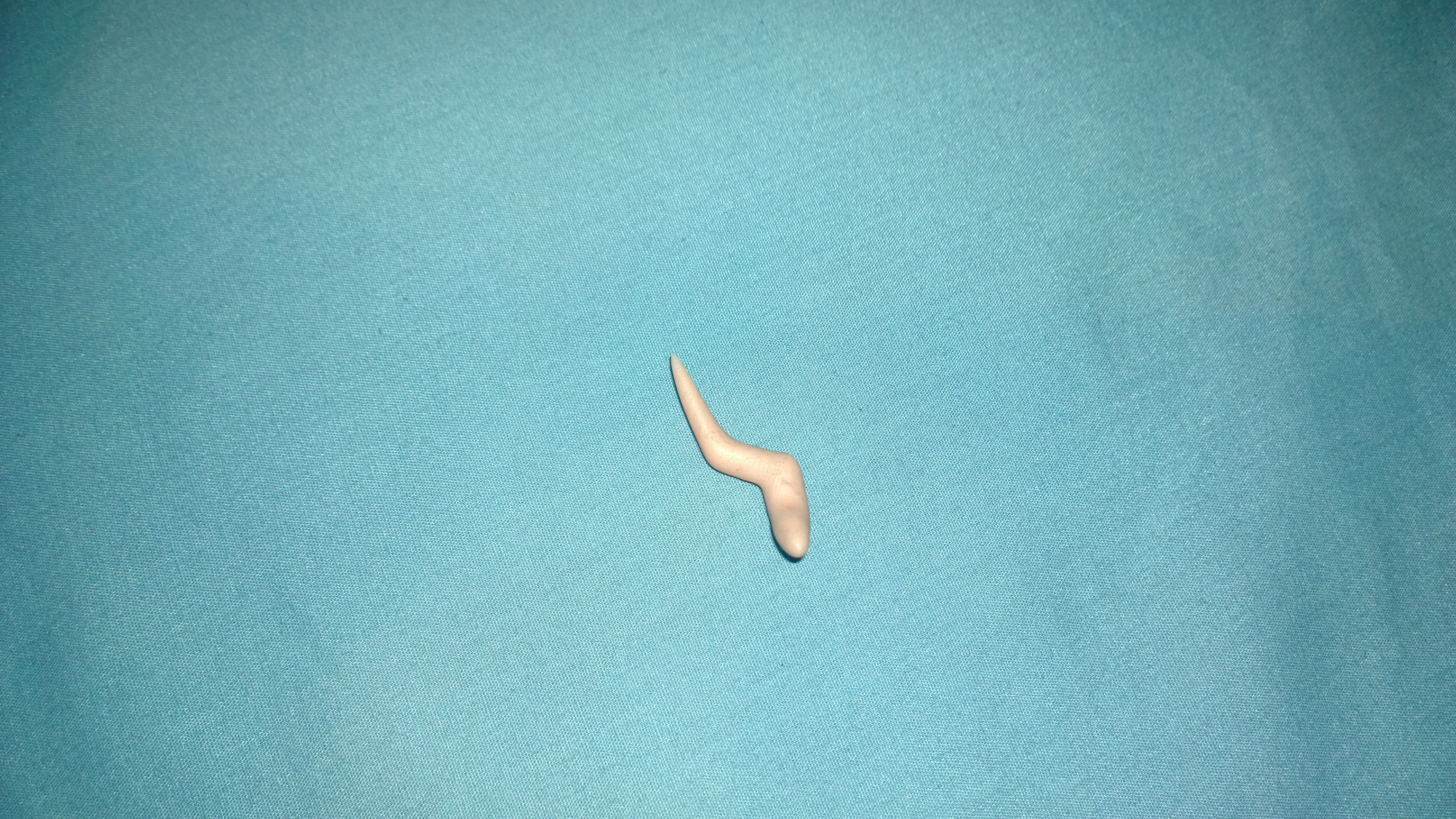 WP_20131014_04_55_05_Pro.jpg