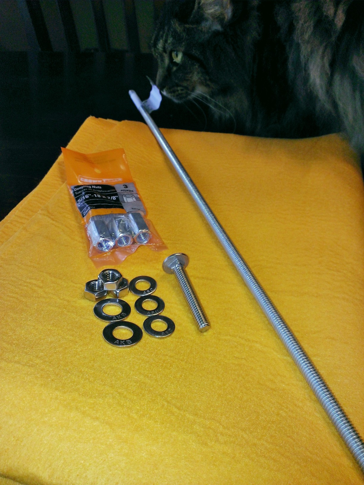 WP_20140316_004.jpg
